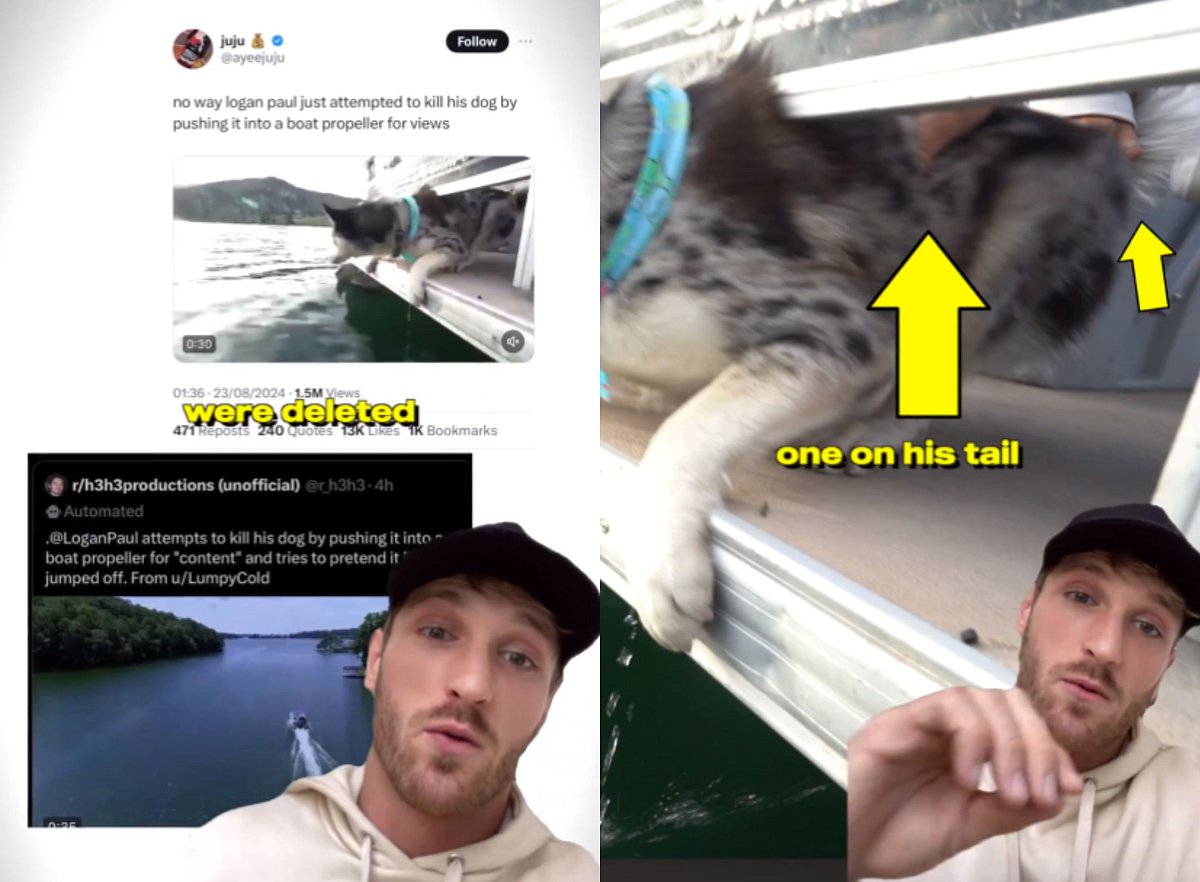 Logan Paul Addresses Old Controversy - X